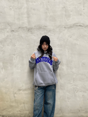 韓國INS繡花刷毛帽T