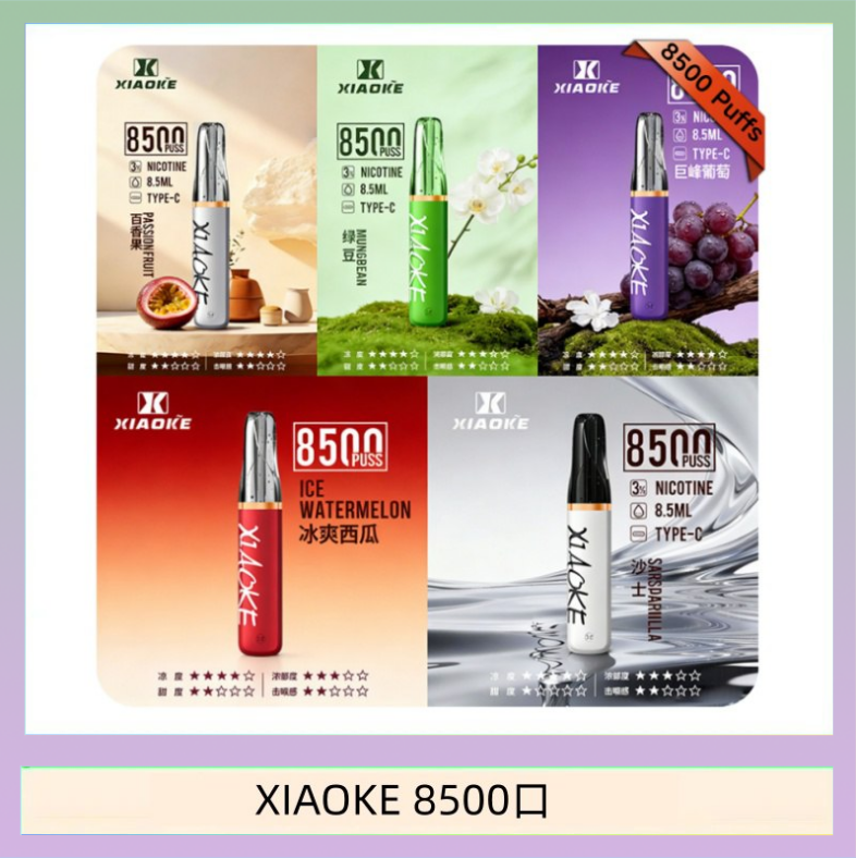 XIAOKE8500口 梟客XIAOKE一次性電子菸拋棄式8500口
